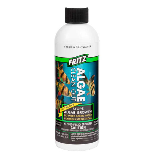 Fritz Algae Clean Out