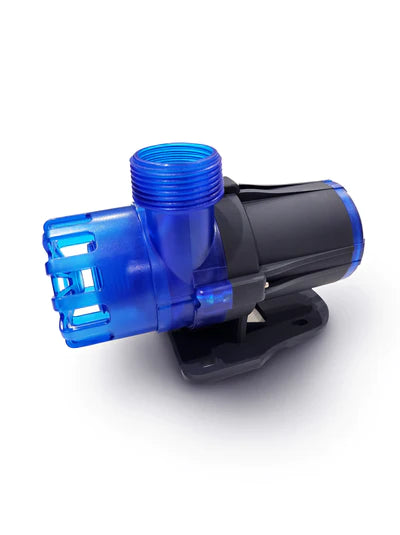 DALUA GREAT WHITE RETURN PUMP