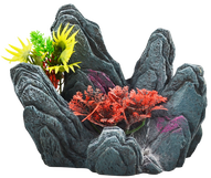 Rock Caves