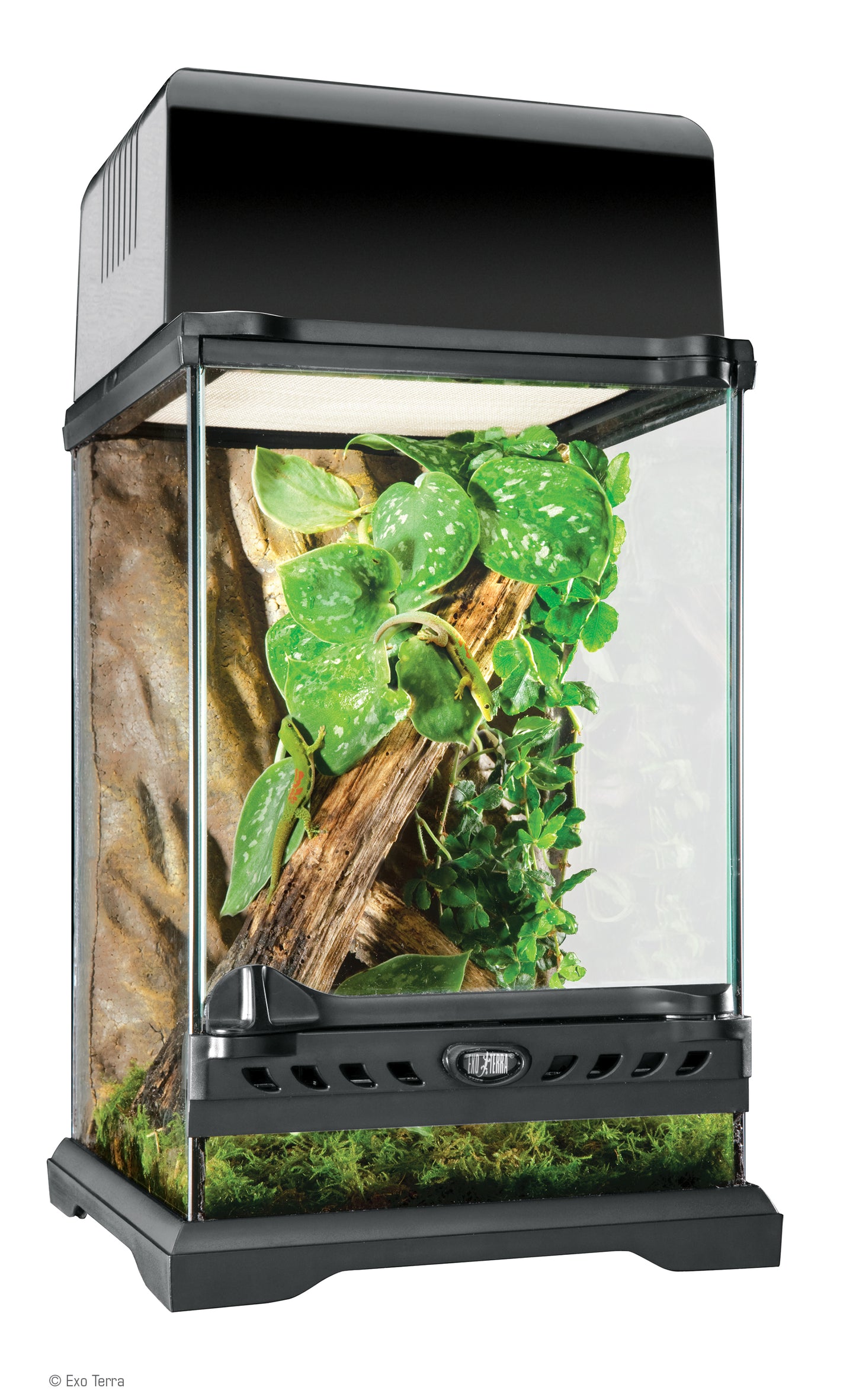 Exo Terra Natural Terrarium NANO - Pick Up Only