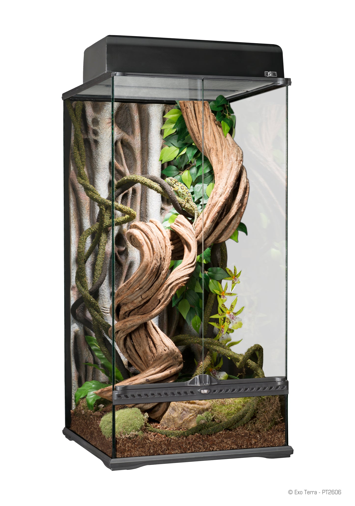 Exo Terra Natural Terrarium SMALL - Pick Up Only