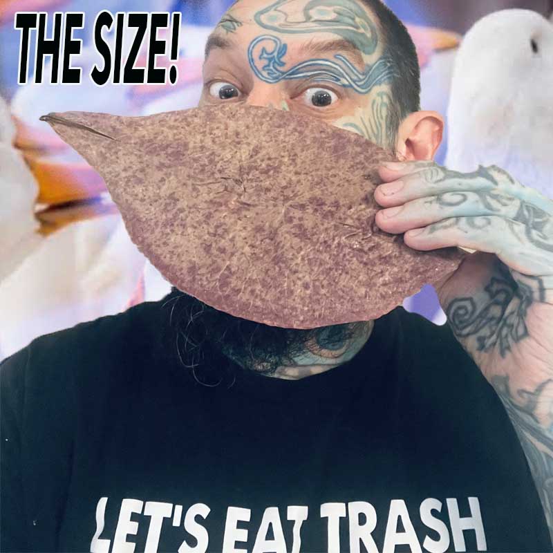 Golden Tree Indian Almond Leaves 50g ( SCABIE KILLA! )