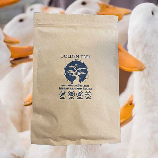 Golden Tree Indian Almond Leaves 50g ( SCABIE KILLA! )