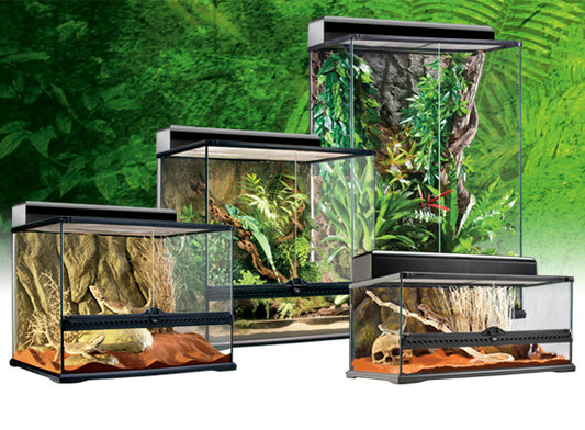 Exo Terra Natural Terrarium MEDIUM - Pick Up Only