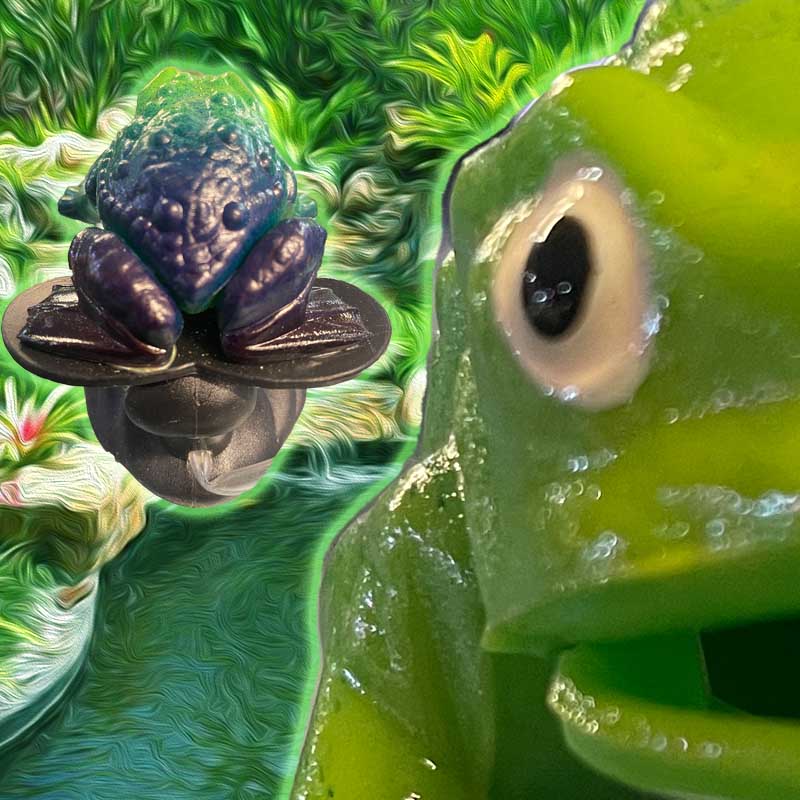HYPNOTOAD!!!! ( OR FROG )