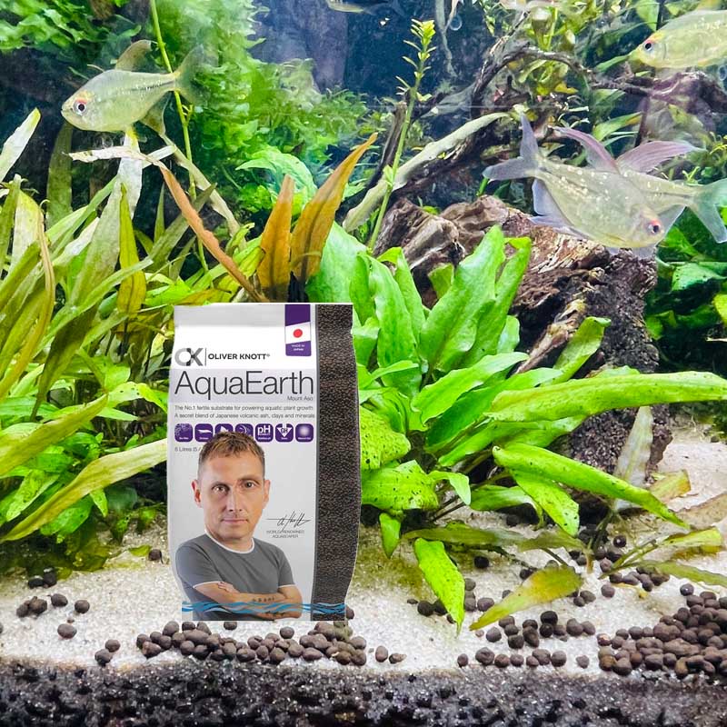 Gravel and Substrates pauls_aquariums