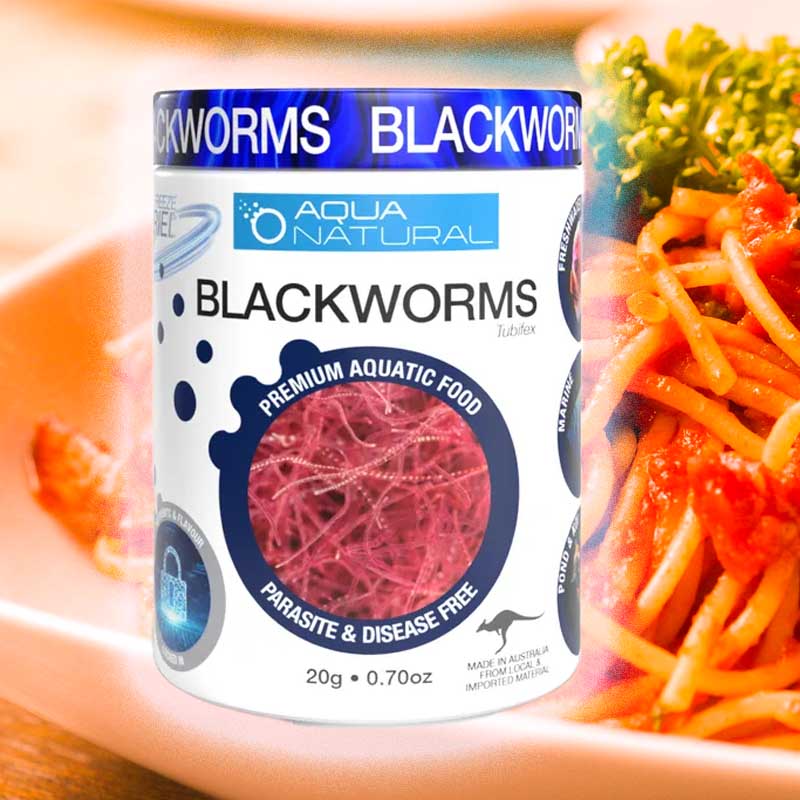 AQUA NATURAL BLACKWORMS FREEZE DRIED