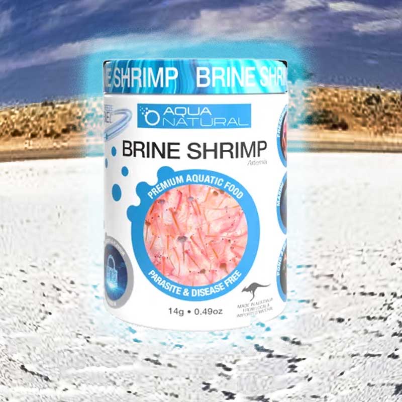 AQUA NATURAL BRINE SHRIMP FREEZE DRIED CUBES pauls_aquariums