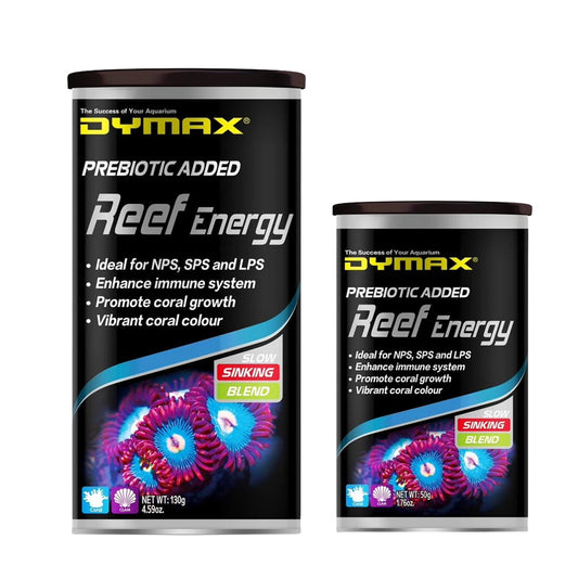 DYMAX Reef Energy