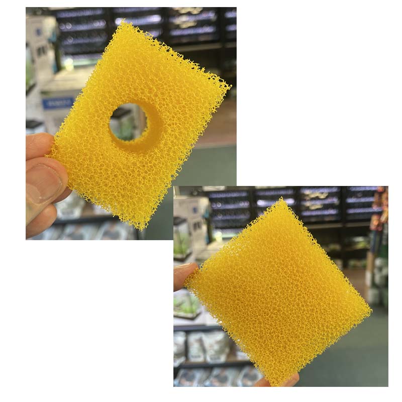 LifeTech Replacement Sponge Square