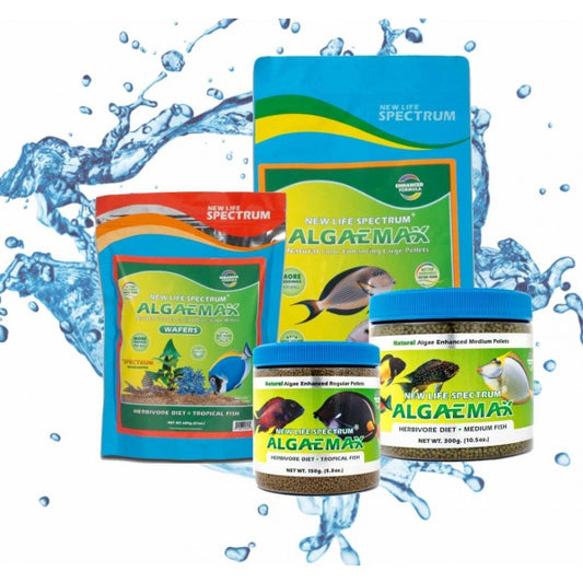 New Life Spectrum AlgaeMax