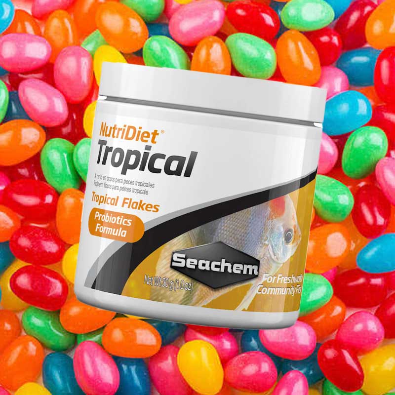 Seachem NutriDiet Tropical