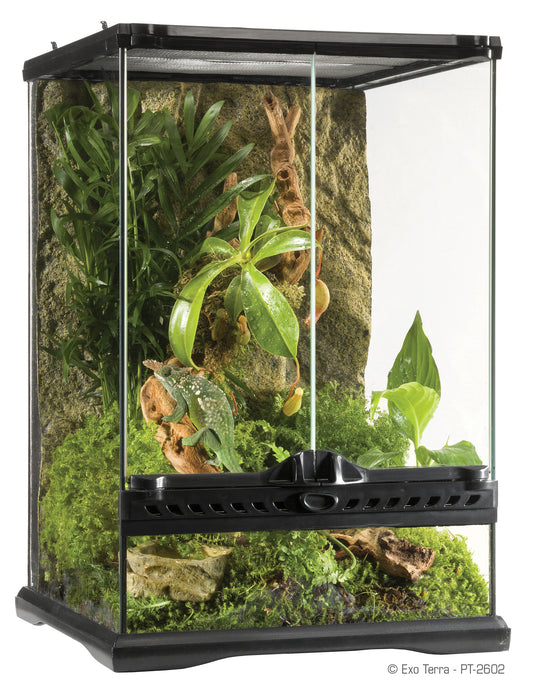 Exo Terra Natural Terrarium MINI - Pick Up Only