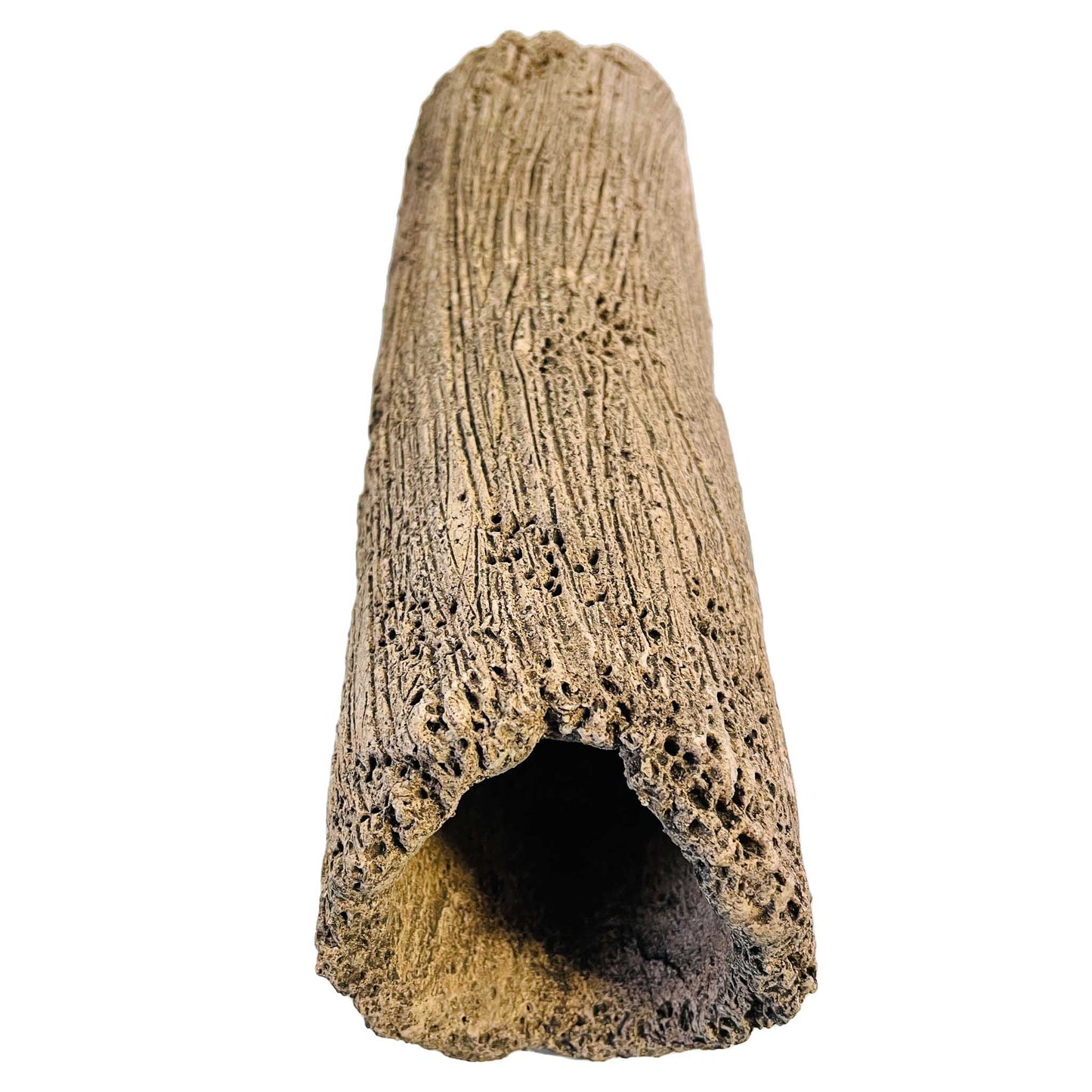 Bristlenose Cave Round Hole