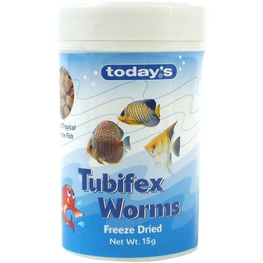Today's Tubifex Worms