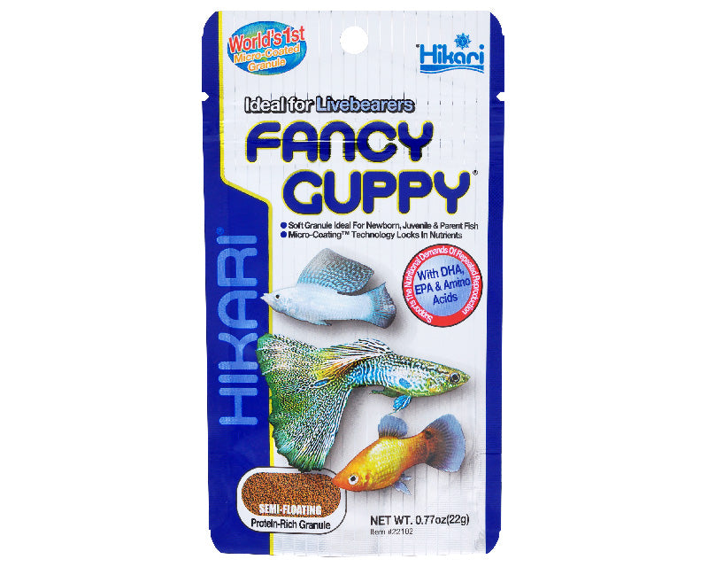 Hikari Fancy Guppy