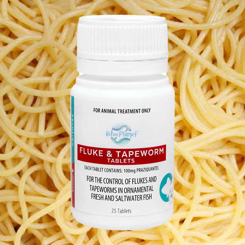 Blue Planet Fluke & Tapeworm Tablets