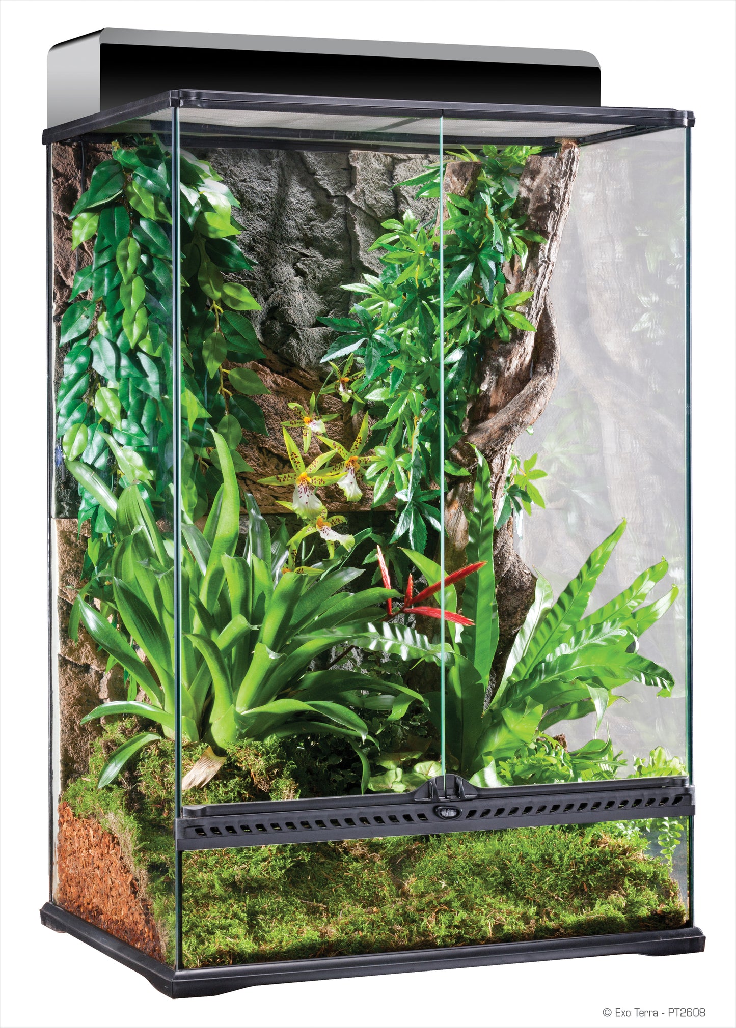 Exo Terra Natural Terrarium MEDIUM - Pick Up Only