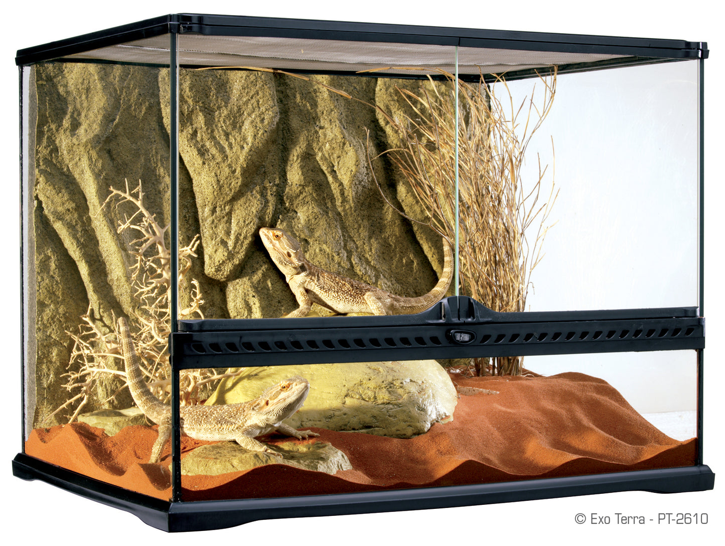 Exo Terra Natural Terrarium MEDIUM - Pick Up Only