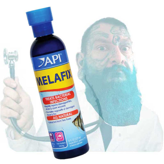 API Melafix