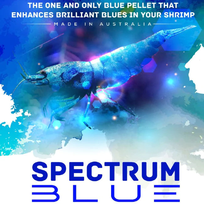 SAS Spectrum Blue